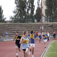 IMG 3465